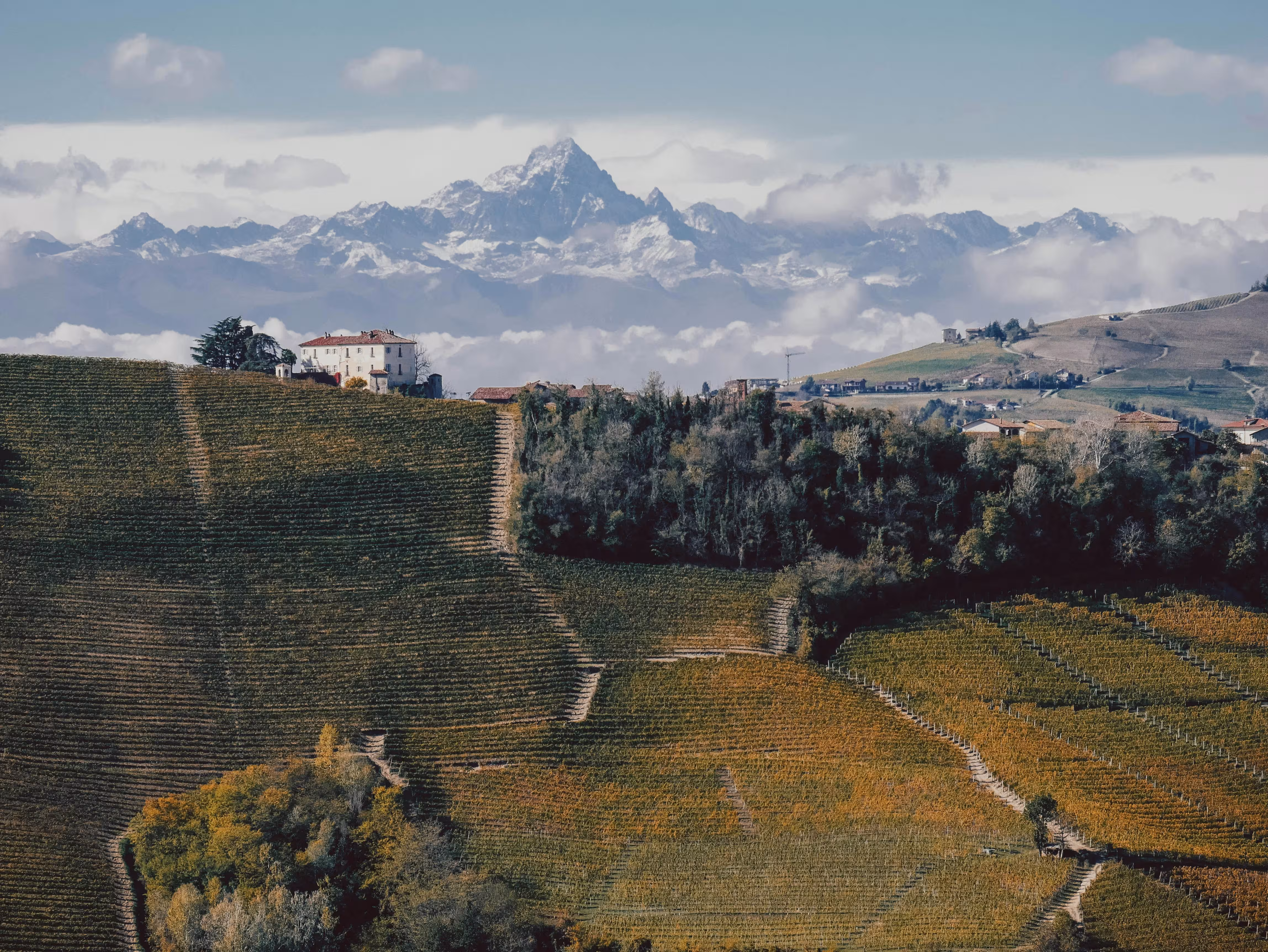 Langhe