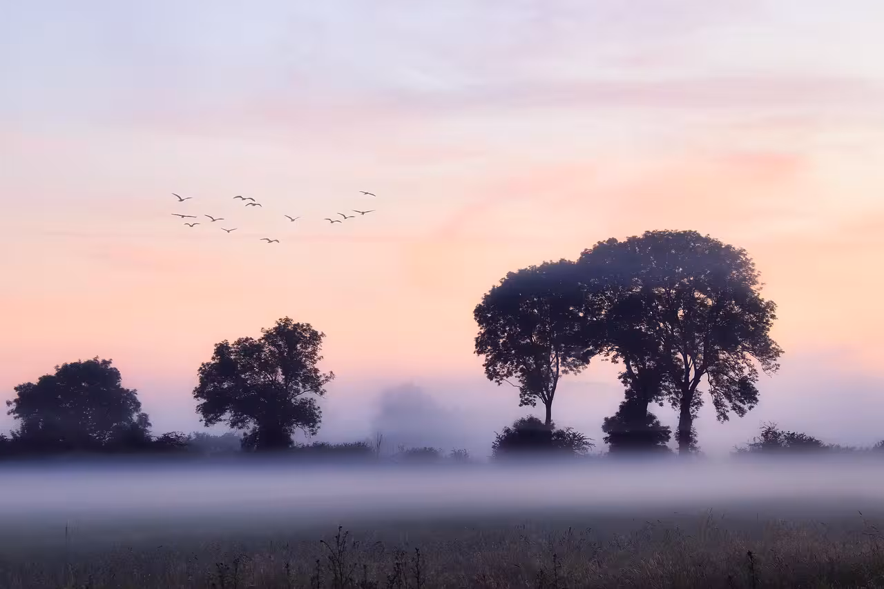 Case sugli alberi in Piemonte: weekend nella natura per coppie e famiglie