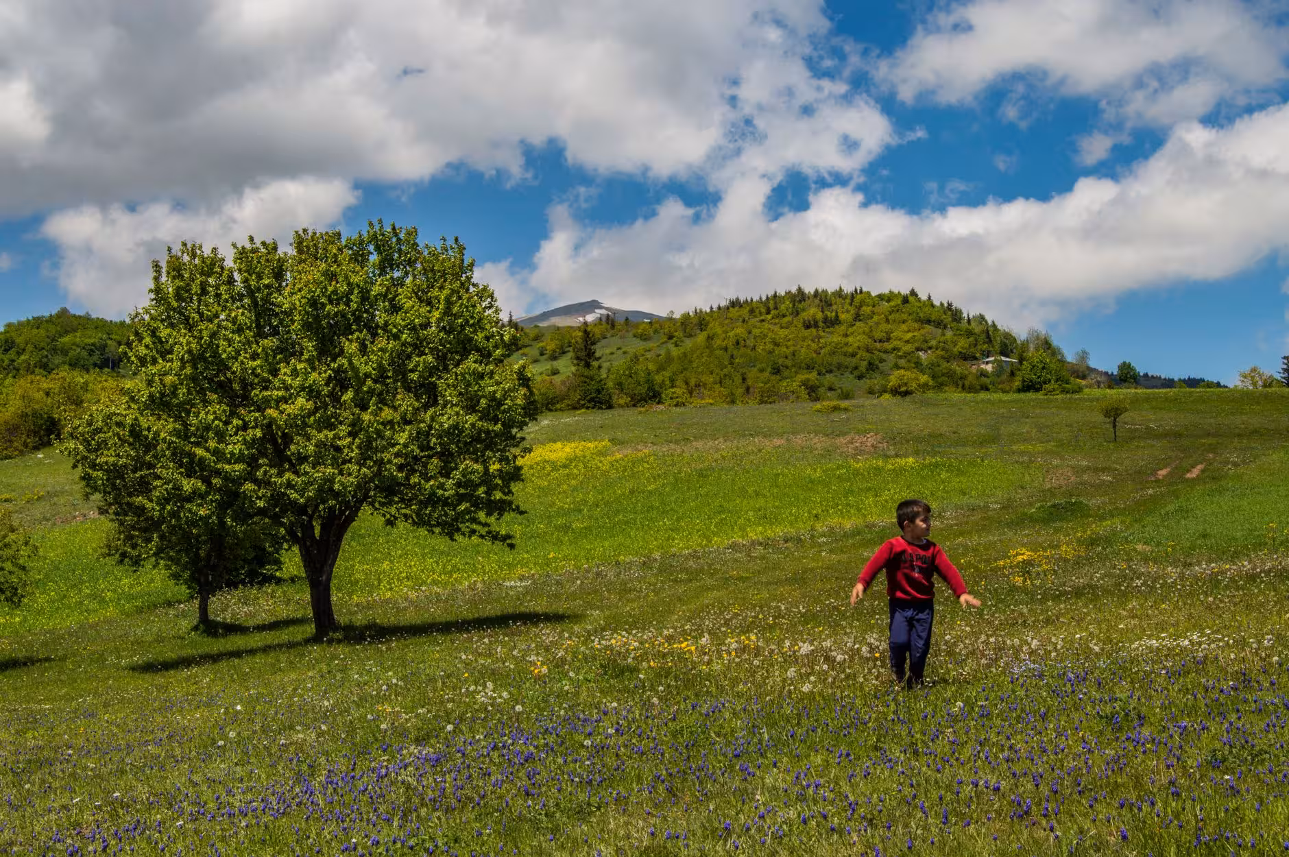 Messer Tulipano a Pralormo: Fioriture, Castello e Primavera di Pianura
