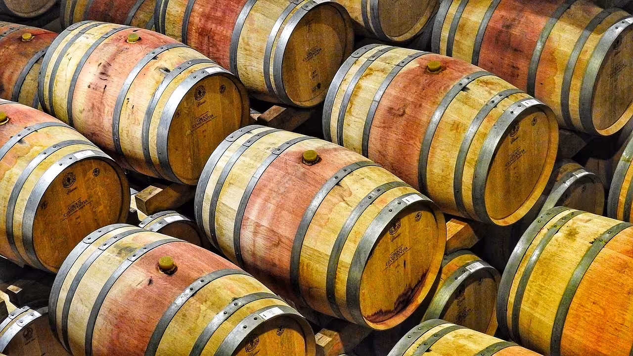 Strada del Barolo: itinerario in auto tra cantine, borghi e panorami
