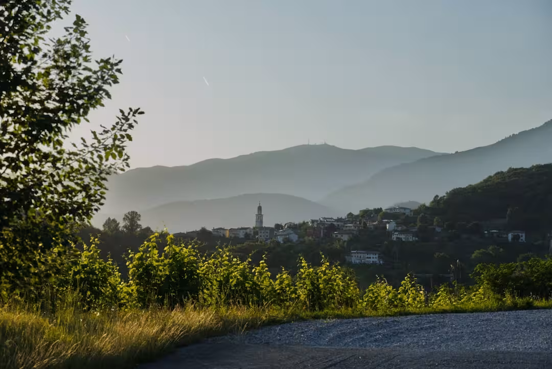 Picnic di lusso in Piemonte: vigneti, giardini e panorama