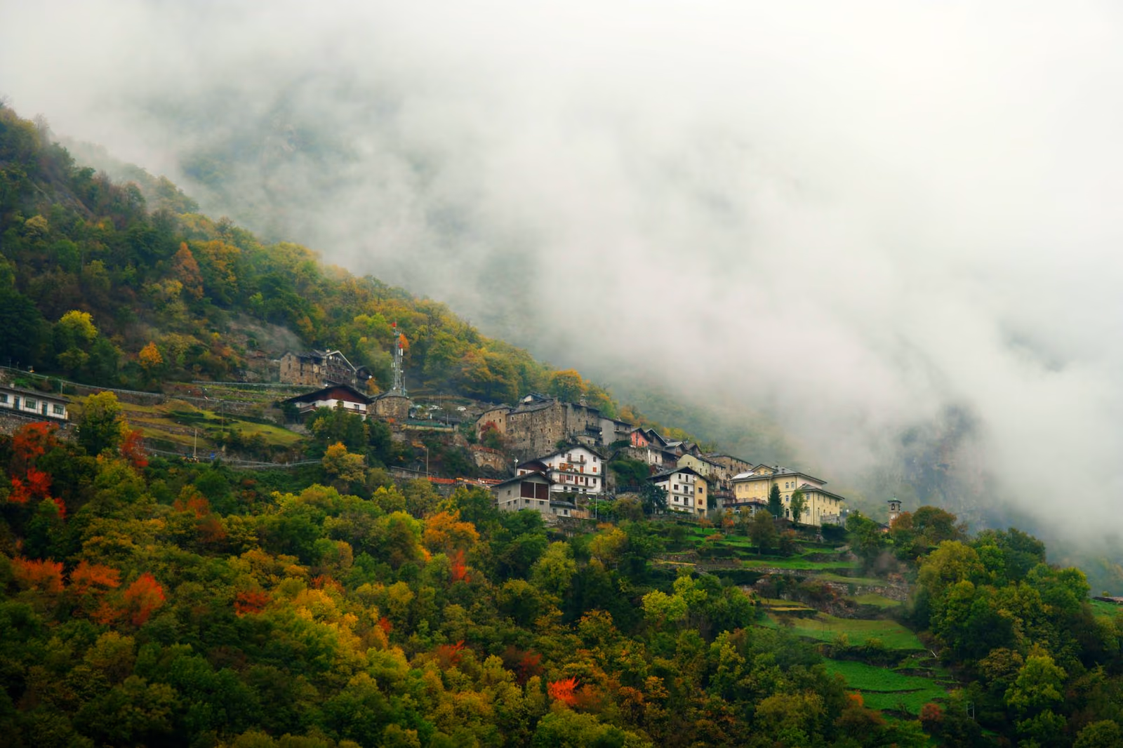 Oasi Zegna in autunno: foliage, boschi e percorsi fotografici