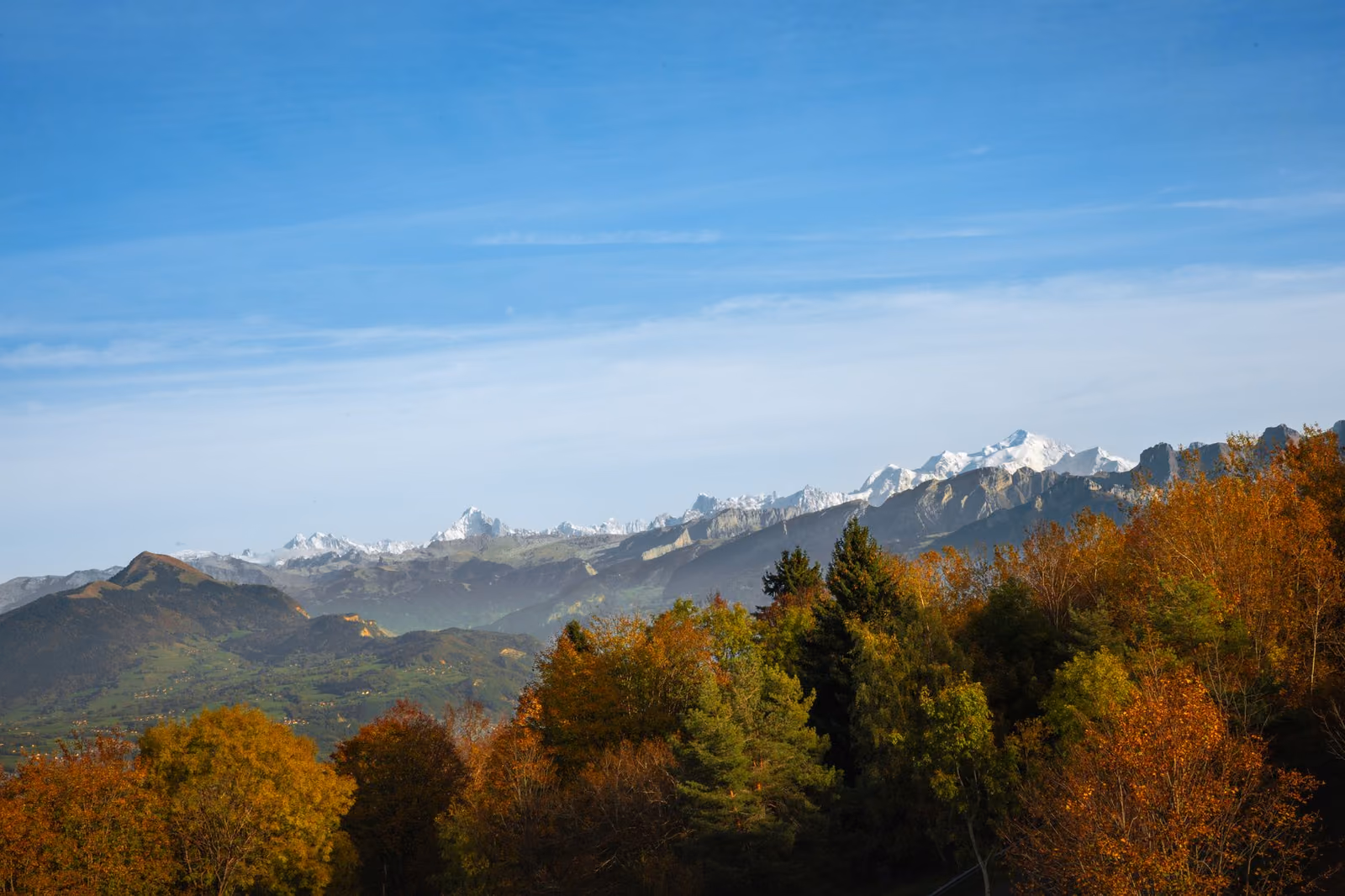 Alpi Marittime-mercantour: Natura Transfrontaliera e Incisioni Rupestri