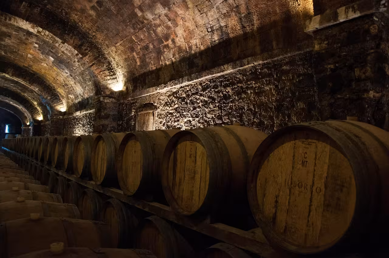 Barbera del Monferrato: come organizzare un itinerario di degustazioni