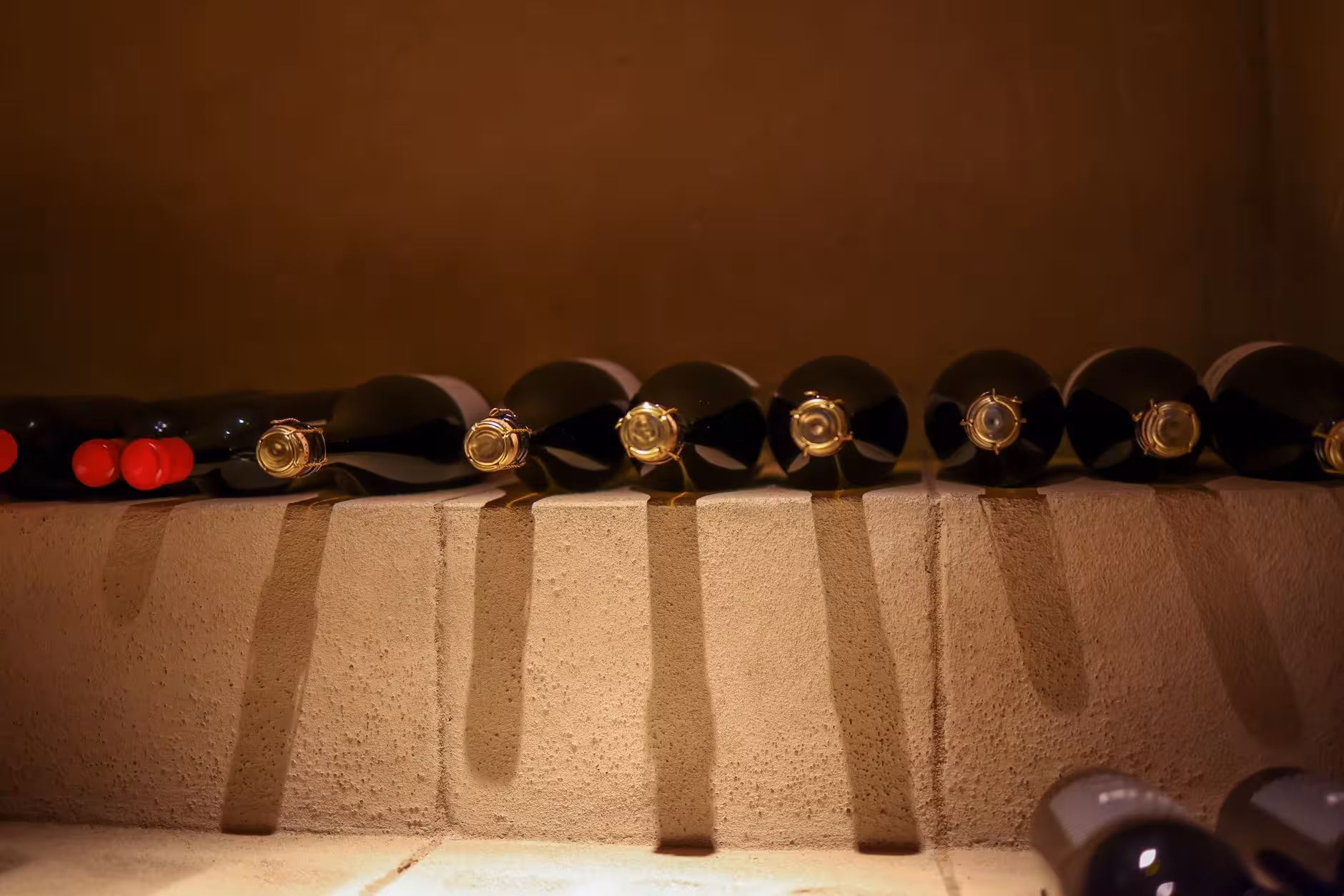 Musei del vino in Piemonte: dove conoscere vitigni, territori e tradizioni