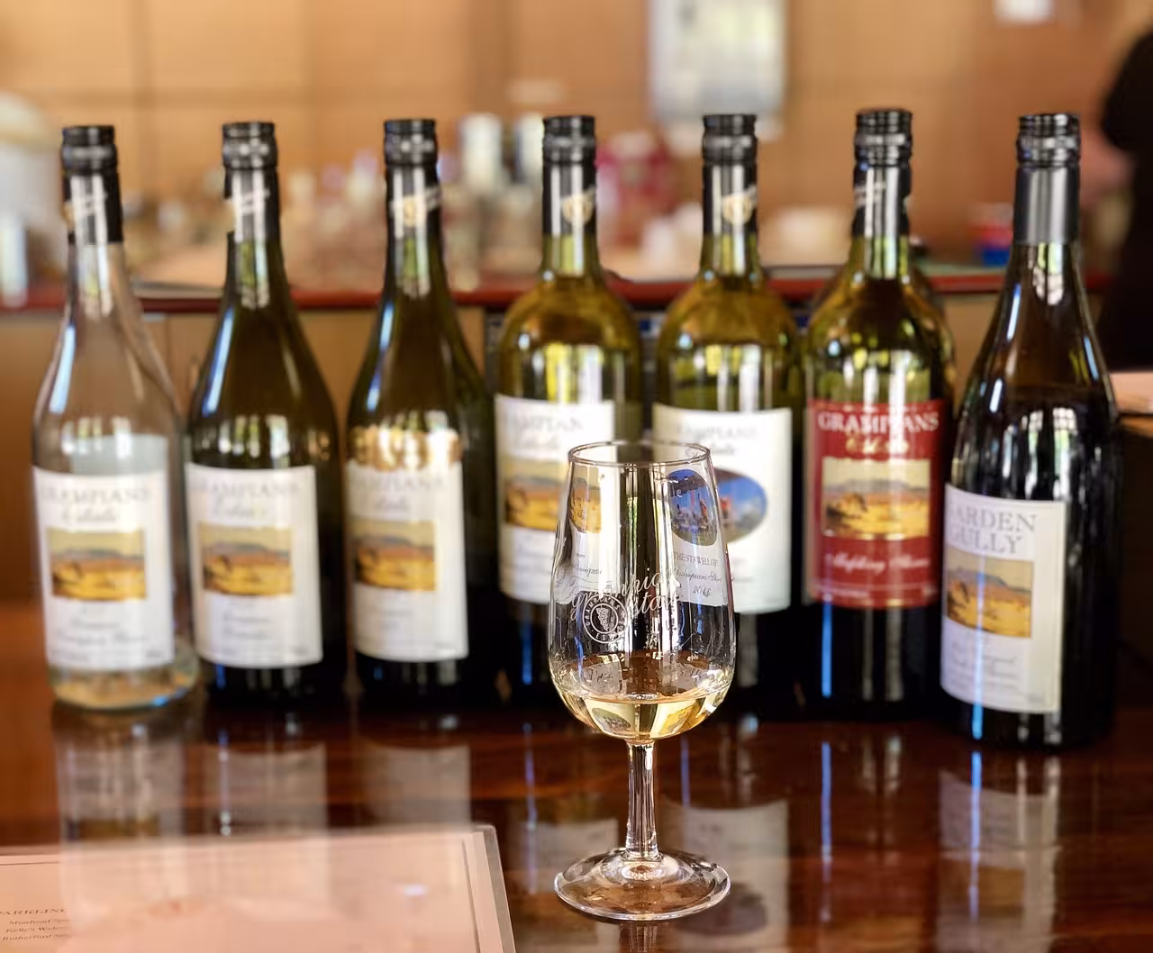 Sagre del vino nelle Langhe: calendari, degustazioni e borghi