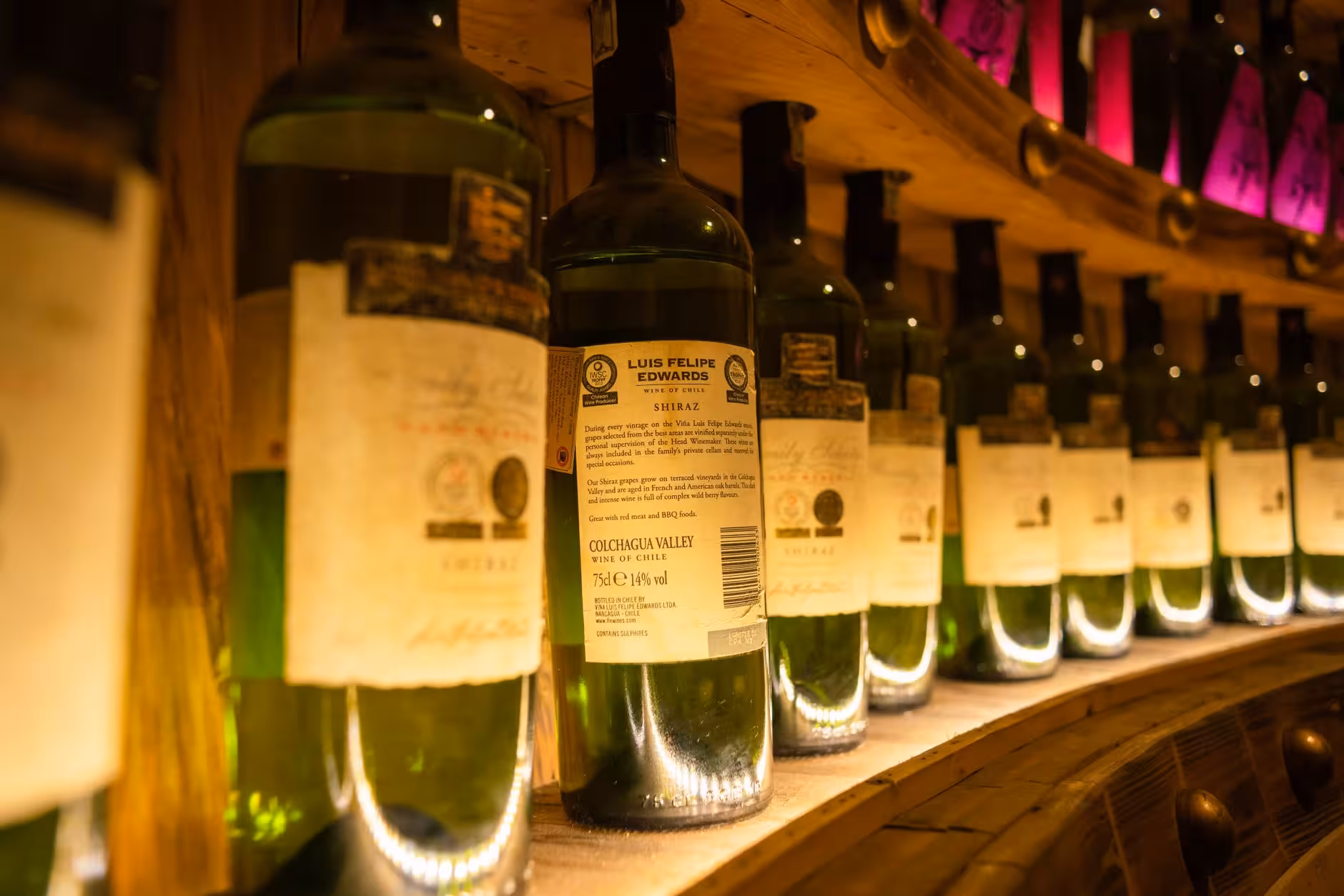 Sagre del vino nel Roero: Arneis, Roero Rosso e weekend in collina