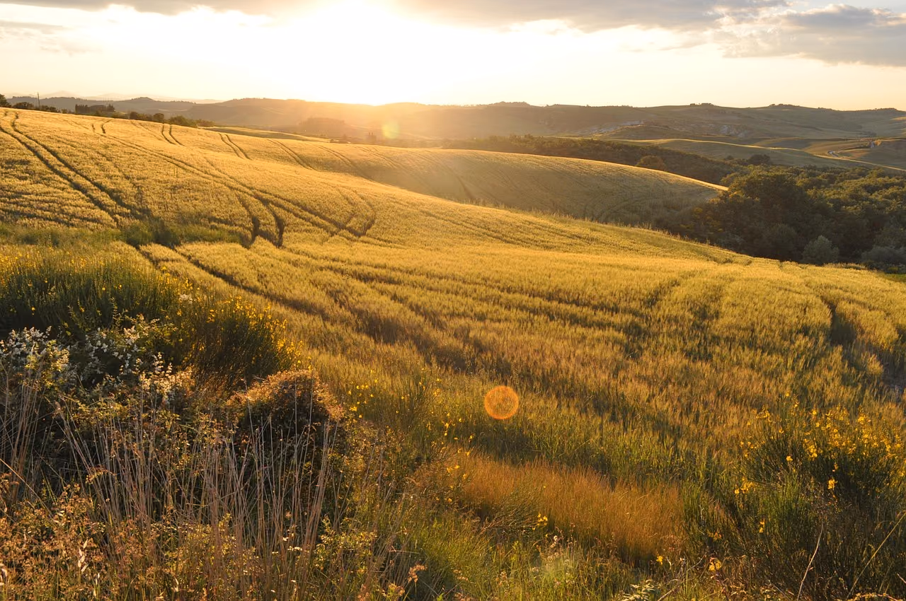 Castelli del Canavese: itinerario tra borghi, dimore e paesaggi collinari