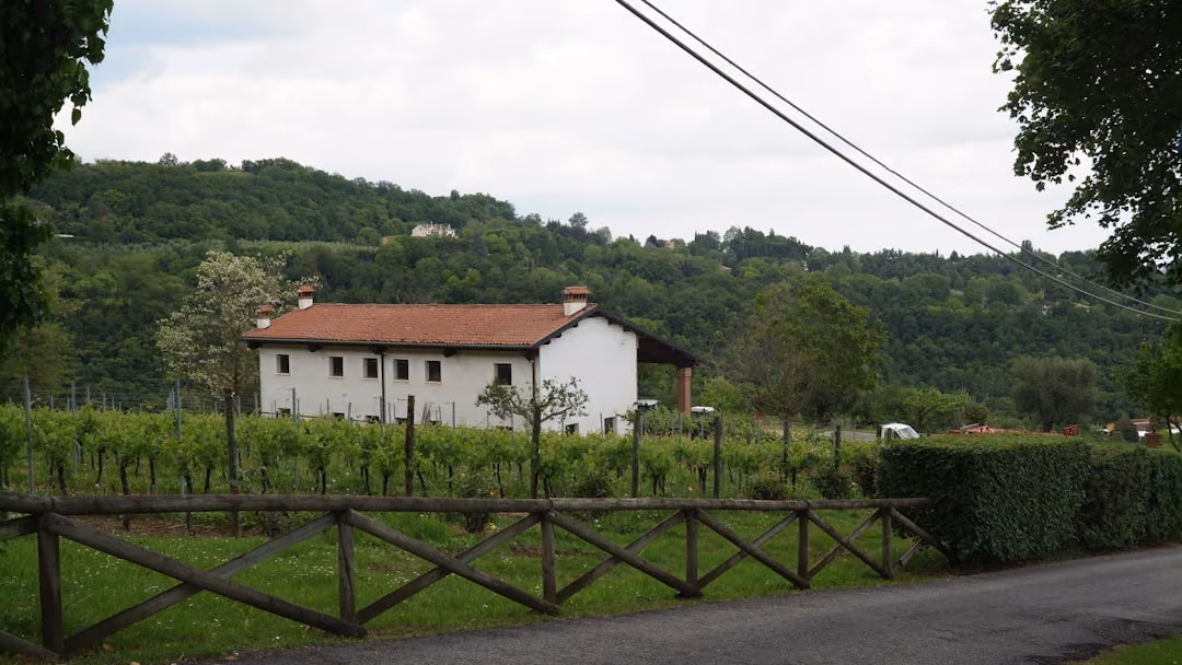 Rosignano Monferrato: arte, vigne e itinerari lenti