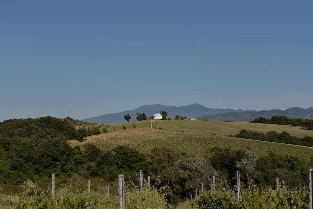 Asti in 2 giorni: itinerario tra centro storico, colline e cantine