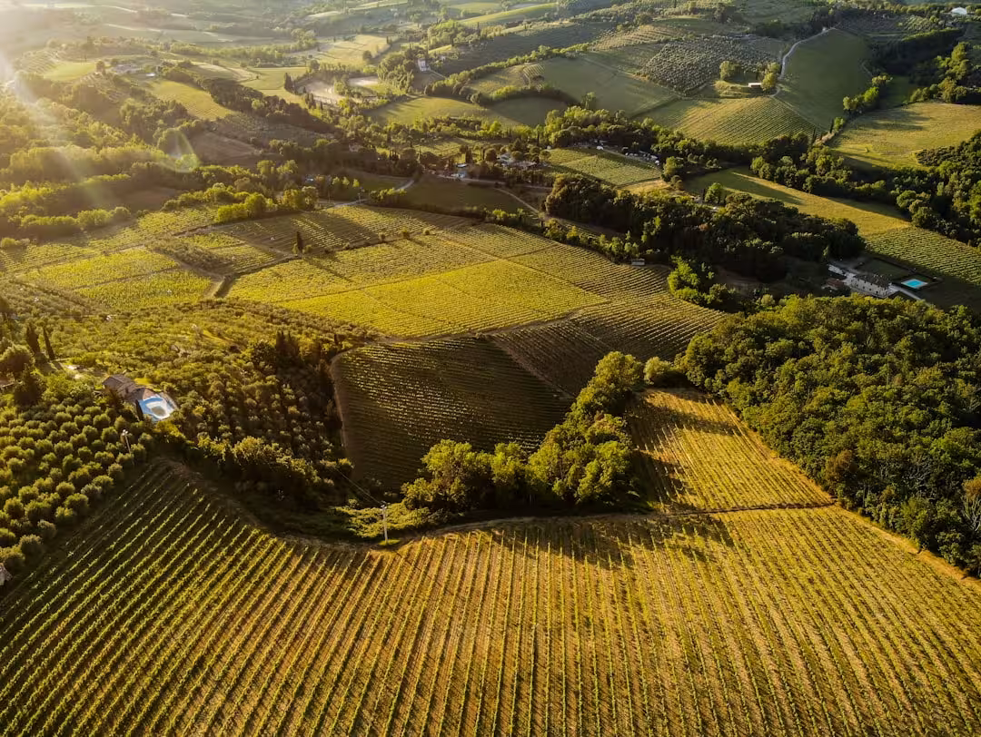 Le migliori strade panoramiche delle Langhe: percorso in auto tra borghi e vigneti
