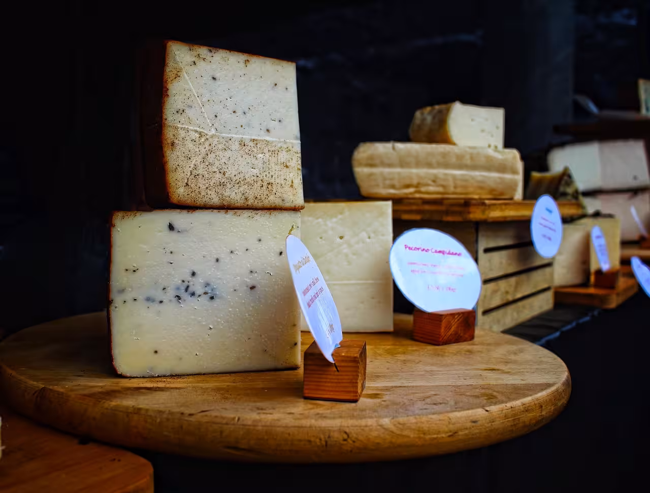 Fiera Internazionale del Tartufo Bianco d’Alba: guida completa per organizzare il viaggio