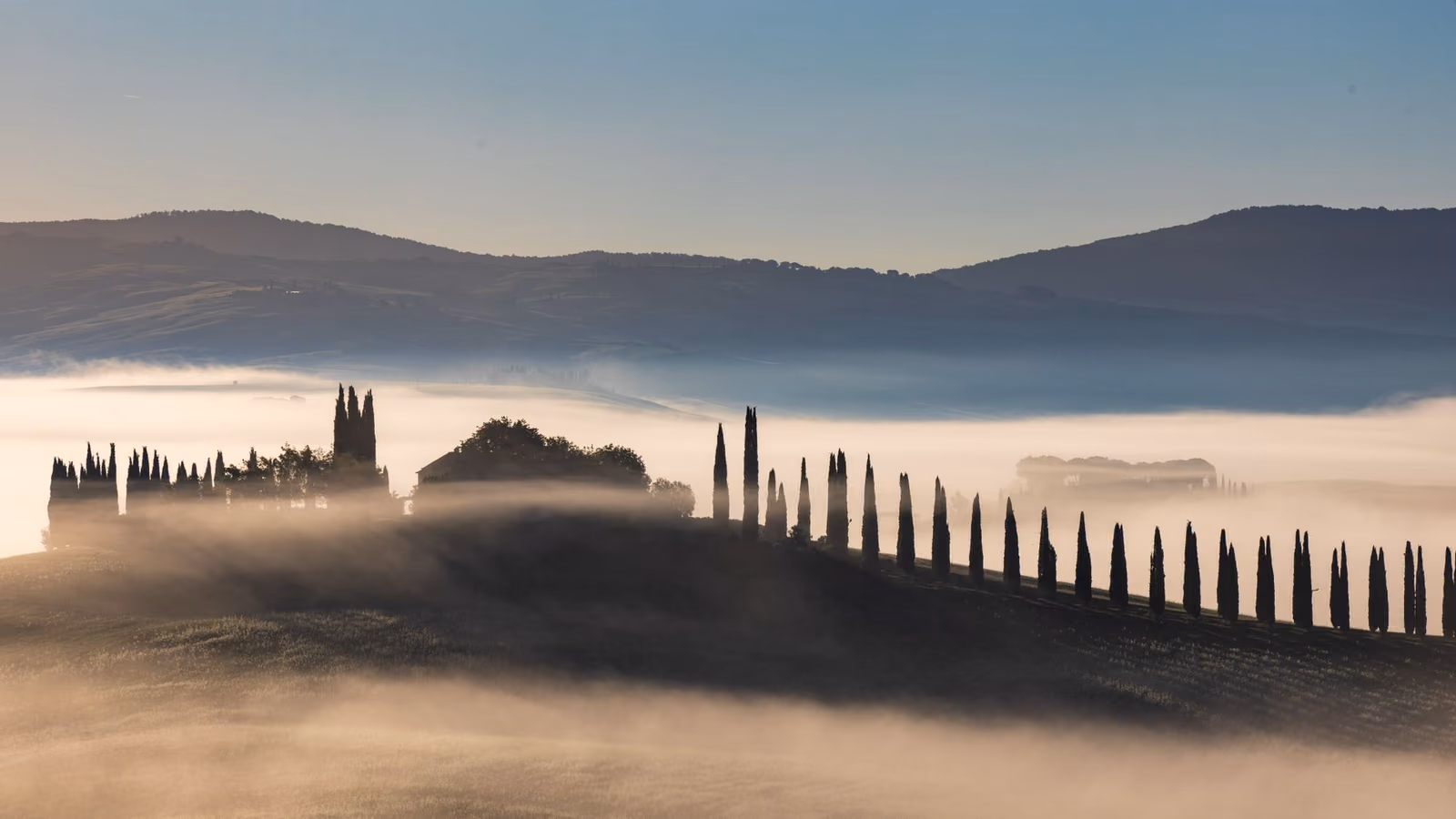 Vanchiglia e Vanchiglietta: itinerario tra creatività, Po e locali indipendenti