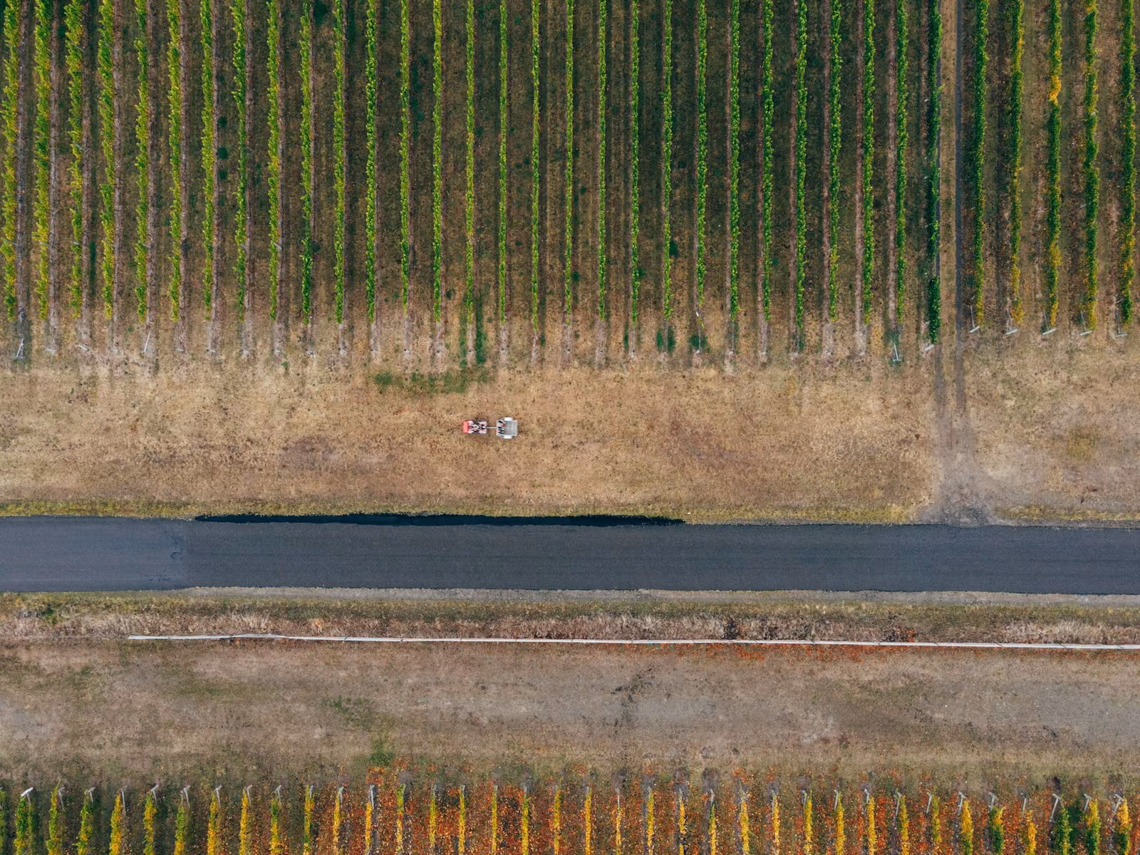 L'ALBESE AL VERTICE DEL JET SET AGROALIMENTARE MONDIALE
