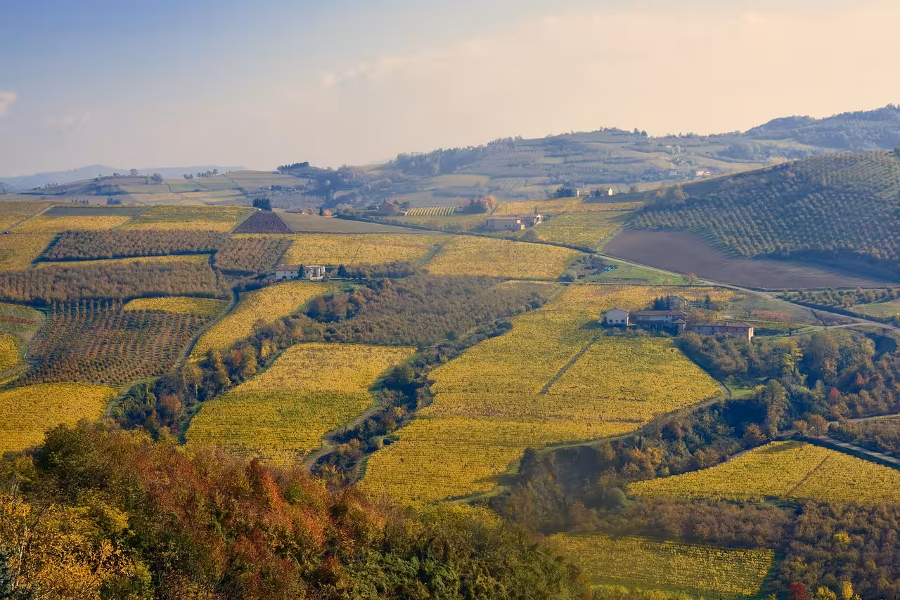 Langhe senza auto: come visitarle con transfer, tour e taxi privati