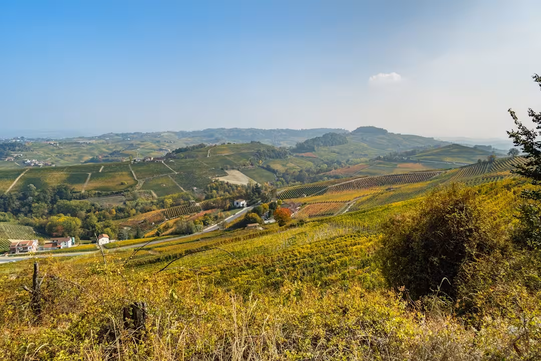 Monforte d’Alba: il borgo musicale delle Langhe e cosa fare nei dintorni