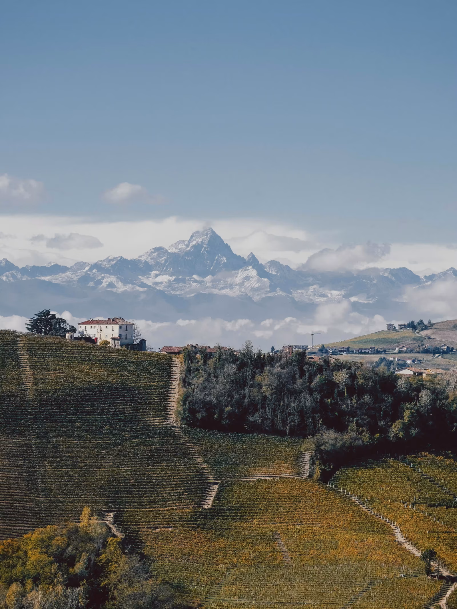 Il Monviso dalle vigne di Langa