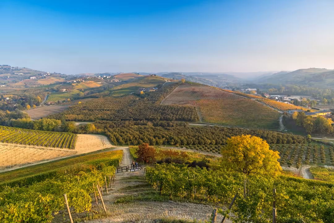 Langhe in autunno: foliage, tartufo, vino e borghi da vedere