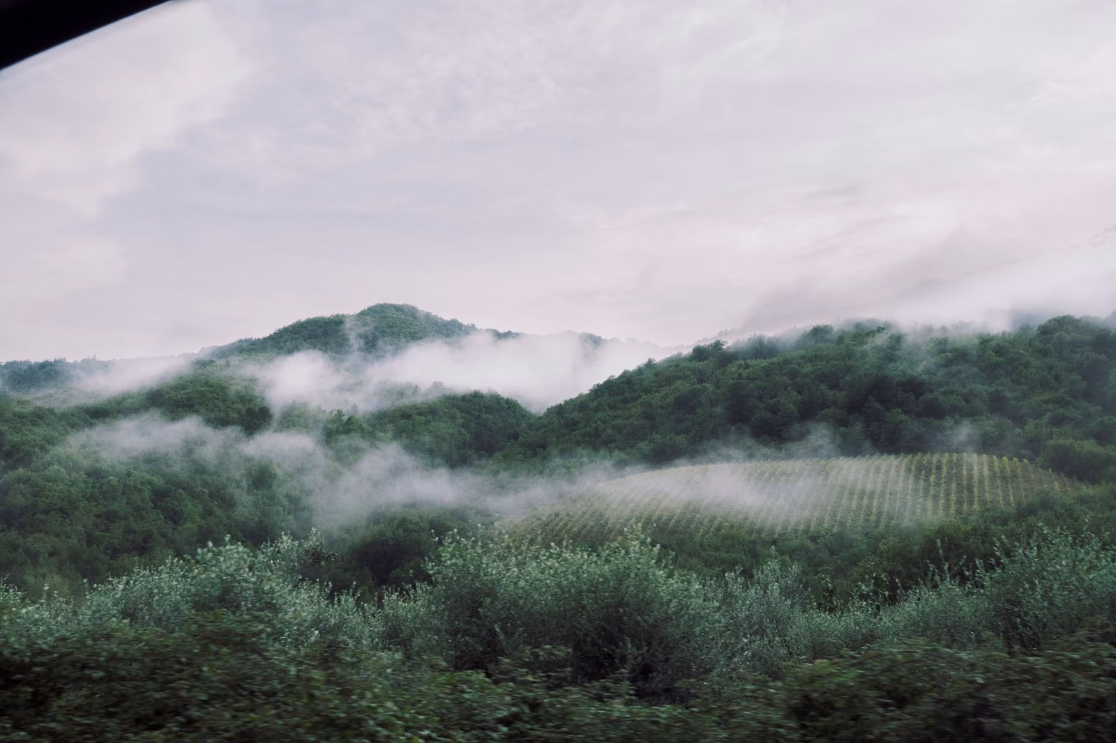 Gavi, Libarna e Colli Tortonesi: Cortese, Archeologia e Colline