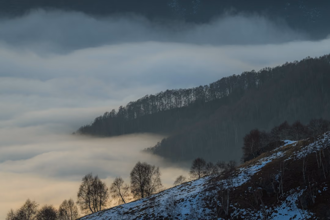 Cosa vedere in provincia di Cuneo: Langhe, valli, borghi e natura