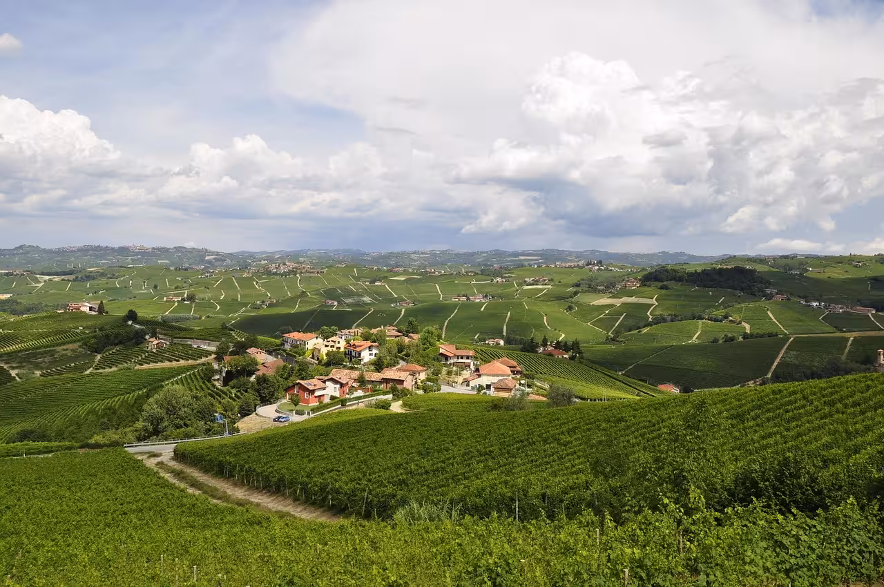 E-bike nelle Langhe: percorsi tra Barolo, La Morra, Monforte e Serralunga