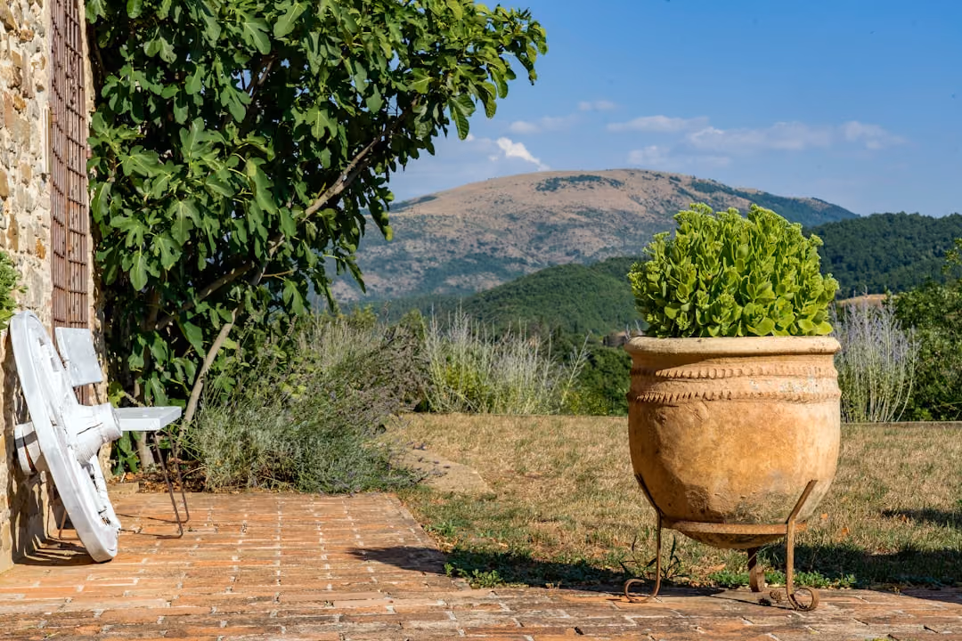 Novara, Ghemme, Boca e Colline Dell'alto Piemonte