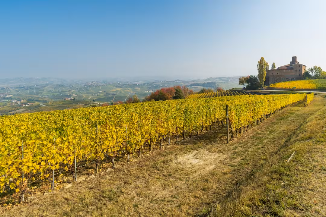 Magliano Alfieri: castello, museo e vigneti tra Langhe e Roero