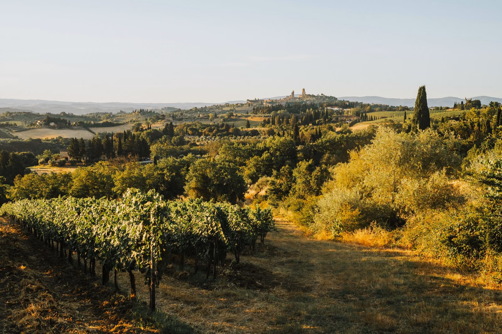 Casale Monferrato e la sinagoga: guida alla visita e al quartiere storico