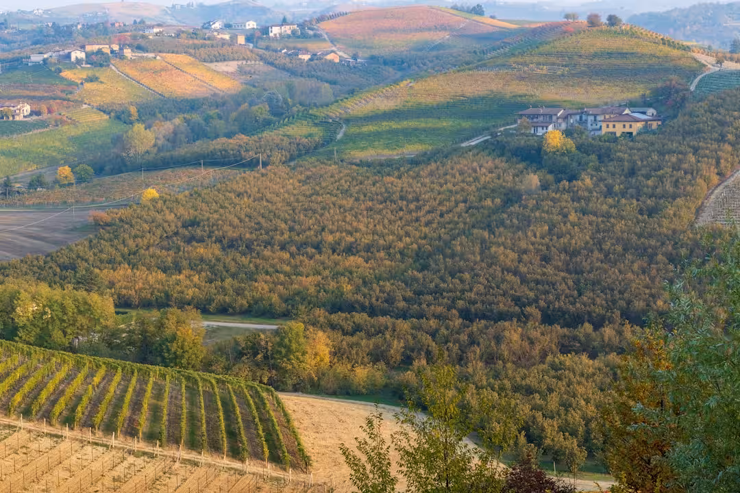 Novello: borgo panoramico delle Langhe tra Barolo e passeggiate