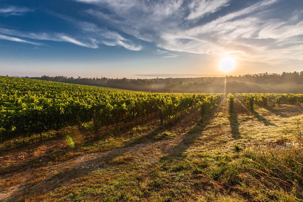 Langhe in camper: aree sosta, itinerario e regole pratiche