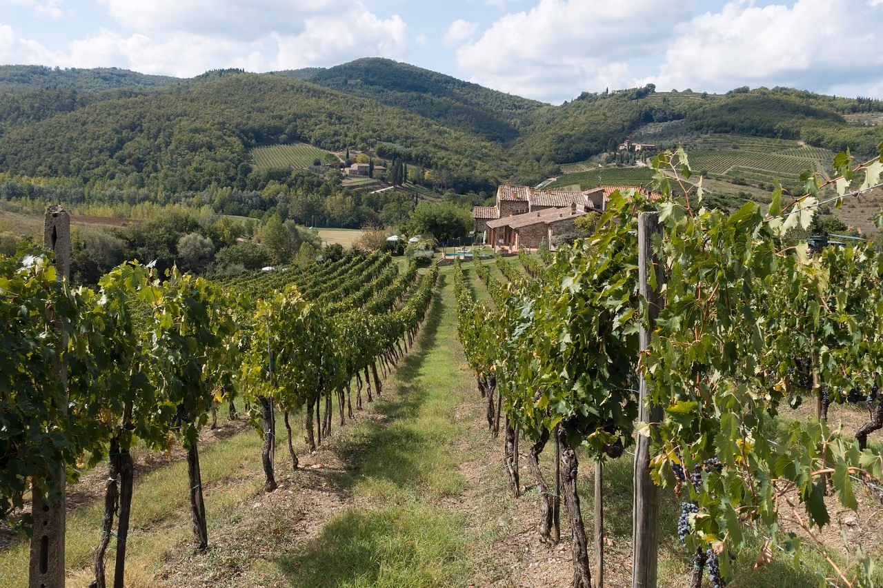 Langhe d’estate: come evitare il caldo e costruire un itinerario piacevole