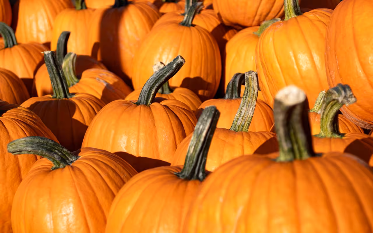 Piozzo e Fiera della Zucca: Autunno Creativo tra Birra, Zucche e Borgo